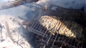 Хвост бобра - гриль - на костре .