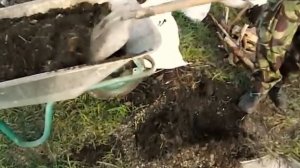 Посадка голубики раз и навсегда.