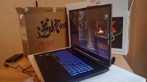 Clevo NH77DPQ Мощный игровой ноутбук в строгом матовом корпусе