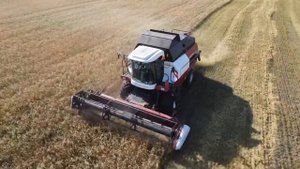 Комбайн VECTOR 410 на уборке пшеницы, сезон 2021/Harvester VECTOR 410 harvesting wheat, season 2021