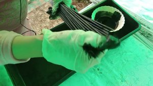 Красим трубочки в черный цвет