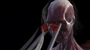 All X-rays/Fatal Blows on Mournful Kitana. Mortal Kombat Mobile.