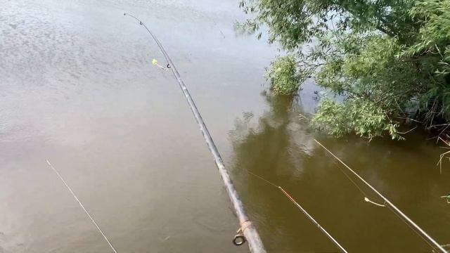 Поймал МНОГО на ФЛЭТ | Рыбалка в Июне 2020 | На заиленном водоеме | Отличный клёв в ЖАРУ смотреть онлайн