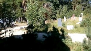 Без выходных / Парень с нашего кладбища
