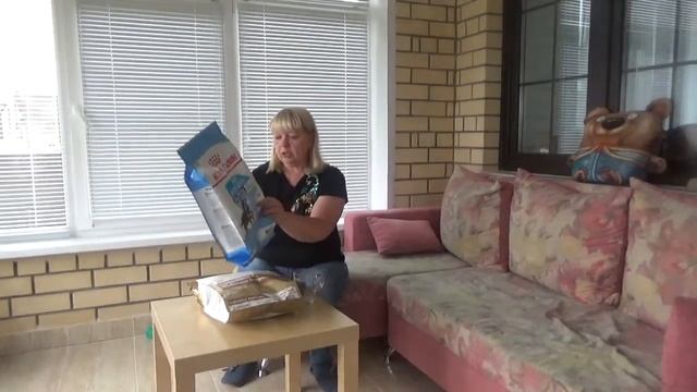 Что надо для щенка лабрадора в доме смотреть онлайн