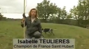 АНГЛИЙСКИЙ СЕТТЕР