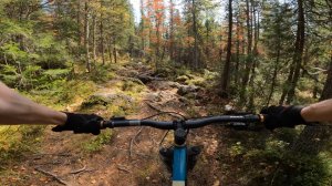 Обратный путь от реки Серебрянка.  #MTB