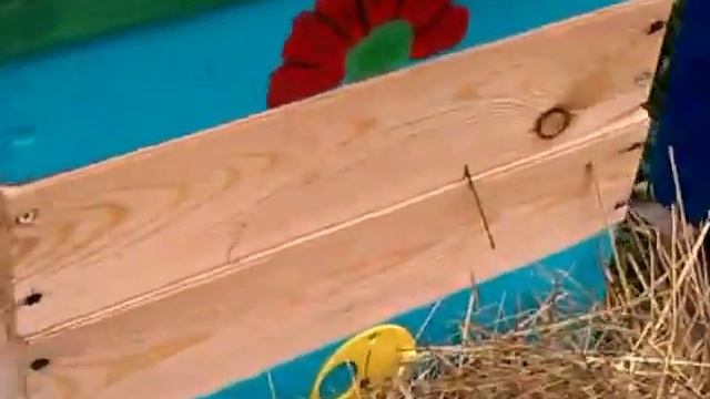 Напад пчёл осенью Защита Примитивно, но эффективно смотреть онлайн