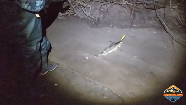 ДЕД ХАБАР НАСЫПАЛ СЕРЕБРА ДОБИВАЕМ ПОМЕСТЬЕ БАРИНА смотреть онлайн