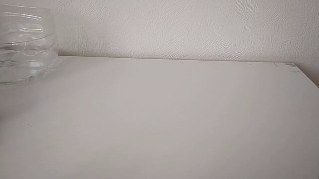 Как посадить финик из косточки смотреть онлайн