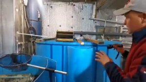 Как самоочищается УБФ, ответы на вопросы.