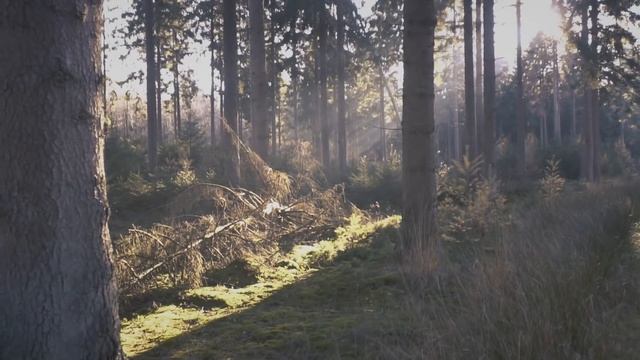 Самые загадочные древние находки археологов над которыми ломают голову учёные