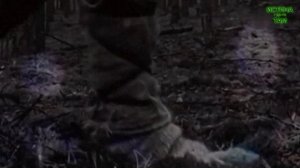 Подземные цивилизации. Мы на планете не первые?