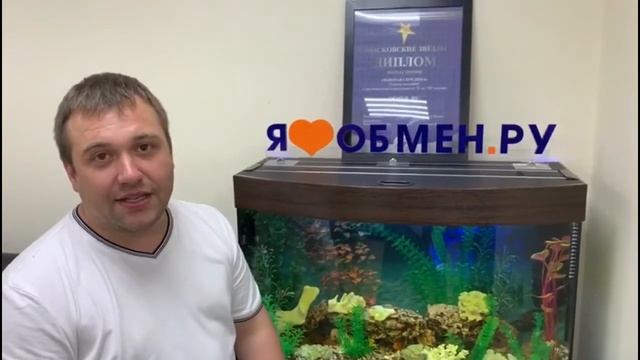 Семинар Олеси Бухтояровой  Банкротство физ лиц  Страхование недвижимости