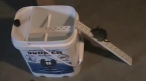 Мышеловка своими руками