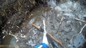 охота на бобра с ягдтерьером