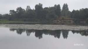 База отдыха Солнечная поляна - река Березина, Отых в Беларуси