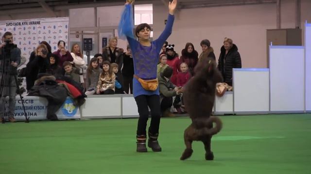 Мельничук Елена и Дара. Canine Freestyle.