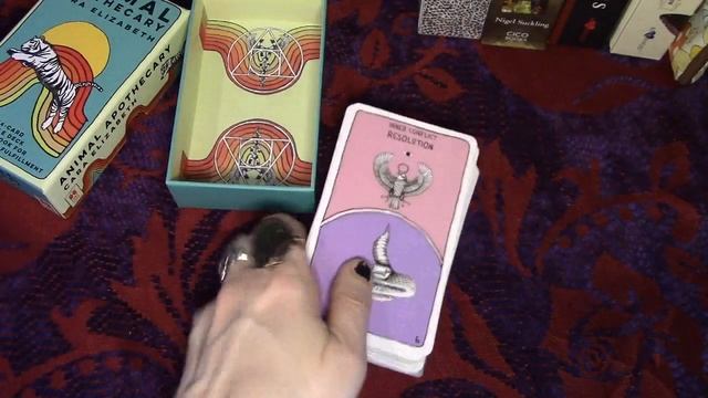 My Oracle Deck Collection and How I Use Them / Rant about Guidebooks смотреть онлайн