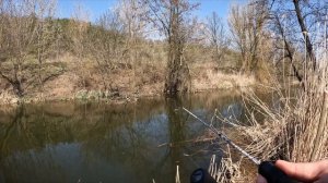 КРУПНЯК ИЗ КОРЯГ! Мормышинг в АПРЕЛЕ на ПЛОТВУ! НОВАЯ ПРИМАНКА для Мормышки