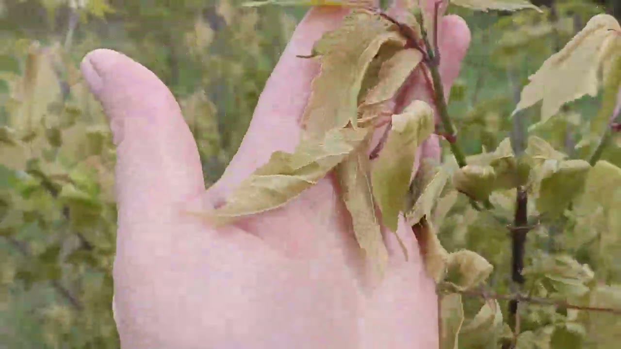 убило морозом смотреть онлайн