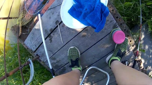 Ловля Карася на поплавок и его товарищей в июне в жару смотреть онлайн