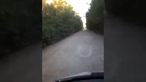 Калининск-Жирновск-Камышин.Наши дороги-лучшие в мире!