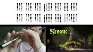 Fairytale (Shrek) on Tin Whistle D + tabs tutorial