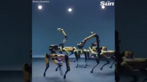 Robots from Boston Dynamics