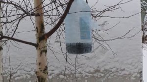 Зимняя жизнь на даче.