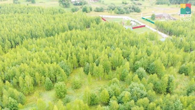 Аэросъемка земельных участков в деревне Суздалы смотреть онлайн