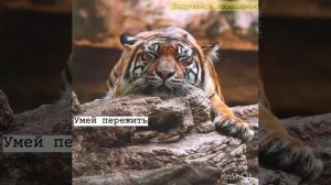 Если тебя ненавидят без повода, то дай им повод.. 🔪🔪