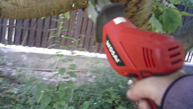Завершаю спиливание толстой ветки черешни. Работу выполняю сабельной электропилой.