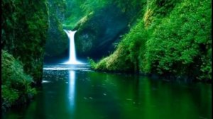 Крис Сфирис  Чарующая инструментальная музыка + Райские уголки планеты