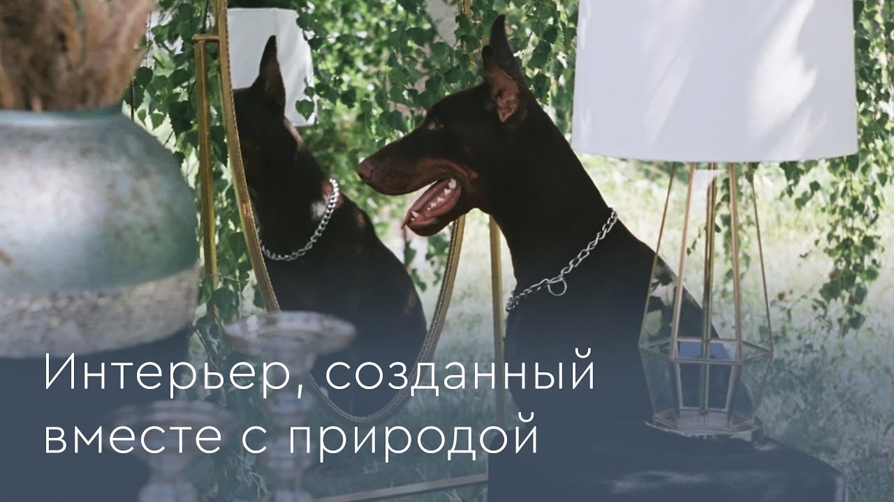 Интерьер, созданный вместе с природой