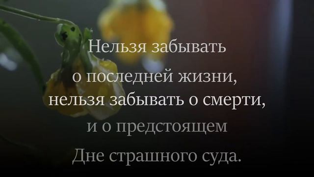 "Внезапная смерть". Шейх Солих аль-Фаузан (حفظه الله). смотреть онлайн