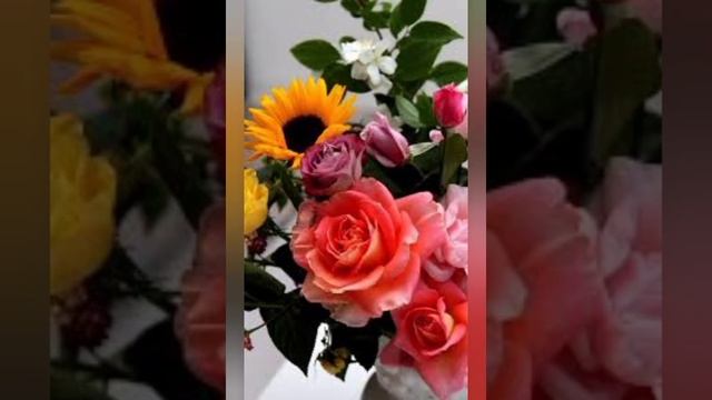 доброго вечера