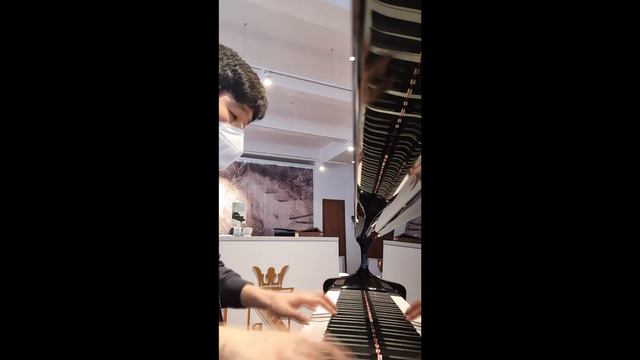 진짜 Petrof 그랜드피아노로 연주한 고요한 밤 거룩한 밤(Petrof P194 Storm Piano)