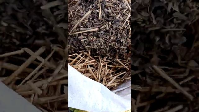 картофель в мешках смотреть онлайн