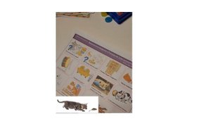 Стихотворение Владимира Степанова «Почему не спят котята?», выполненное  в мнемотехнике.