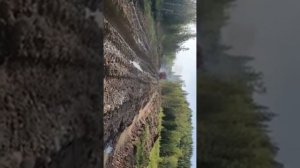 Работа в тяжёлых условиях Татра 815