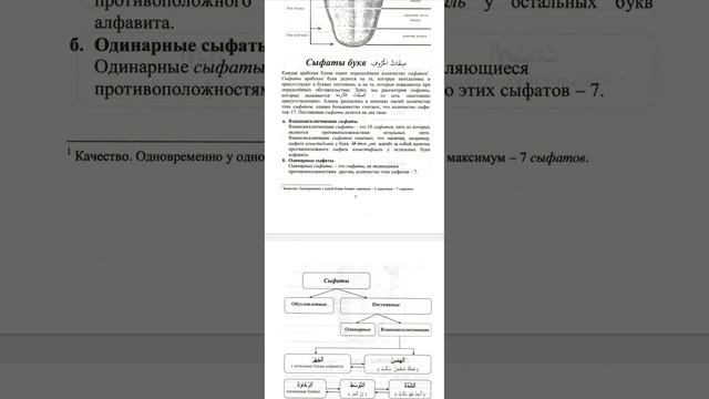 Первый урок: Ознакомление с Сыфатами | Медресе 2