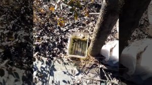 Органическое, натуральное природное удобрение для огорода и сада своими руками!
