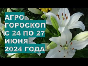 Агрогороскоп с 24 по 27 июня 2024 года Agrohoroscope from June 24 to June 27, 2024