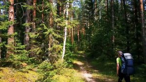 Пеший поход - Лесное путешествие - Подмосковье (Автор Максим Козлов)