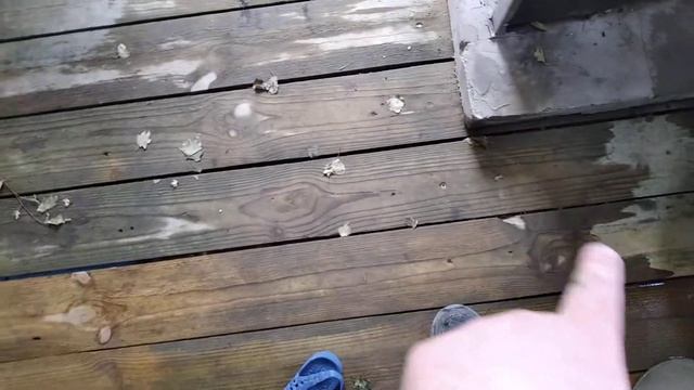 Самодельная Мини баня из каркасного сарая смотреть онлайн