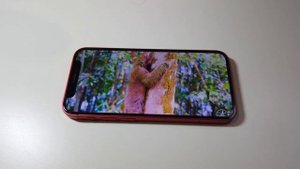 "iPhone 12 Mini: Почему Его Мощный Процессор и Камера До Сих Пор Впечатляют?"