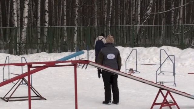 Соревнования по аджилити 09.03.13 г., СПб, Пискаревская v08 смотреть онлайн