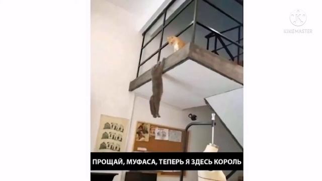 что происходит у меня дома смотреть онлайн