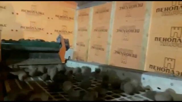 Машина калибровки картофеля СК 90 в работе